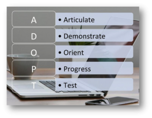 team progression of salesforce technology/Capability Maturity Model