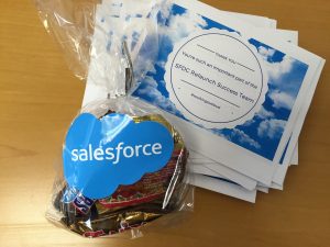 Salesforce goodie bag