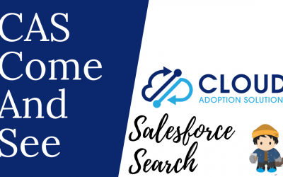 Salesforce Search is now Lightning Fast:  Blog