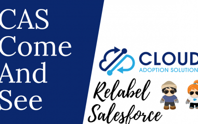 The Name Game: Relabel Standard Salesforce Objects