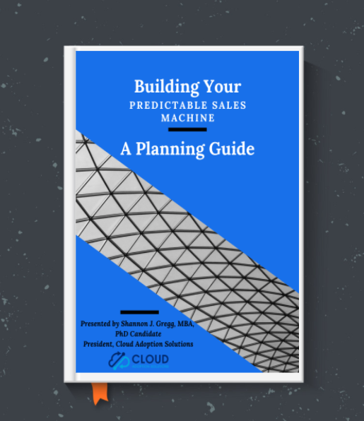 Building Your Predictable Sales Machine A Planning Guide