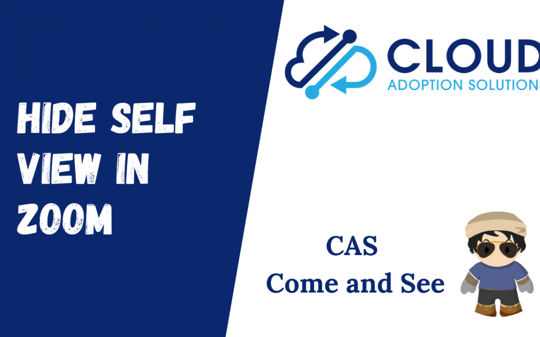 Hide Self View in Zoom: CAS Come and See Video