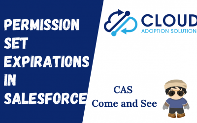 Permission Set Group Expiration: CAS Come and See Video