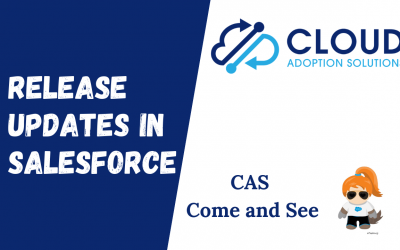 Salesforce Release Updates: CAS Come and See Video