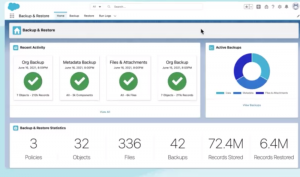 Salesforce Backup & Restore