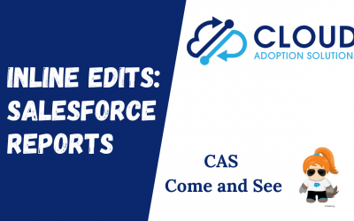 Inline Edits Salesforce Winter 22: CAS Come and See Video