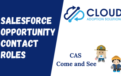 Salesforce Opportunity Contact Roles: CAS Come and See Video