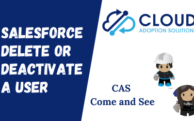 Salesforce Delete or Deactivate a User: CAS Come and See Video