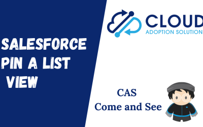 Salesforce Pinning ListViews: CAS Come and See Video