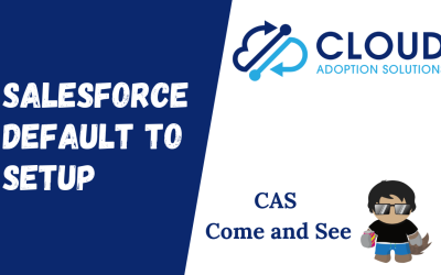 Salesforce Default to Setup: CAS Come and See Video