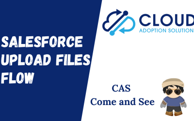 Salesforce Upload New Files Flow: CAS Come and See Video