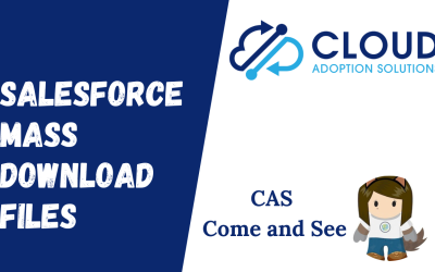 Salesforce: Mass Download Files from ListView: CAS Come and See Video